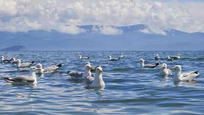Lake Baikal in Siberia: The deepest lake on Earth holds 20% of the world's unfrozen freshwater and is 25 million years old