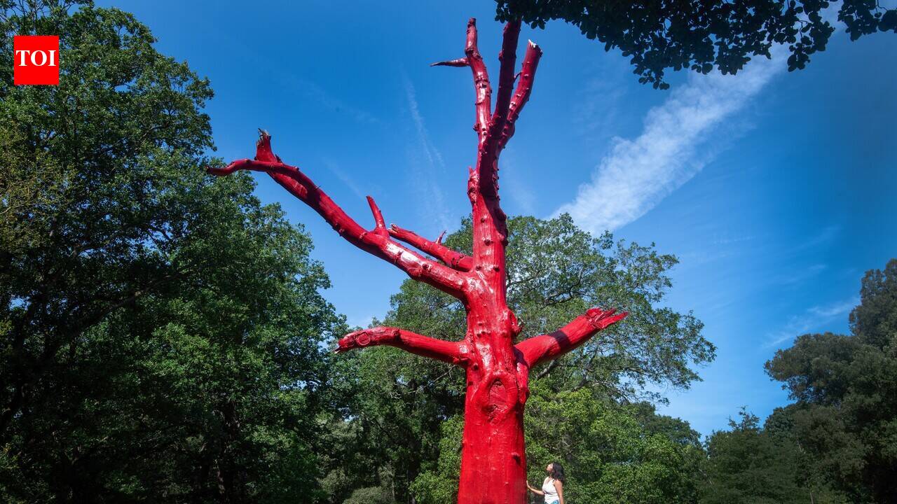 Britain's trees are now shedding giant branches to survive heatwaves, and scientists warn that up to half of Kew's trees could be vulnerable by 2090
