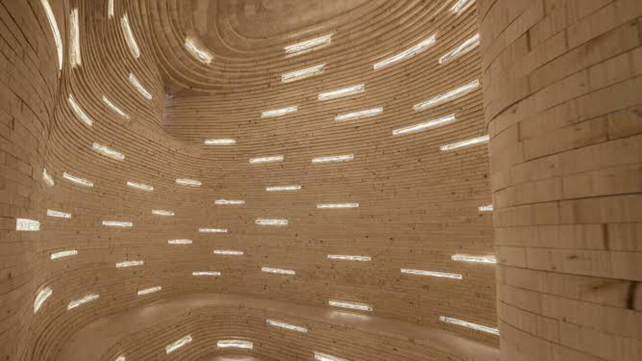 Future Library: Norway planted 1,000 trees for a library no one can read until 2114, when the forest will be cut down to print 100 secret books