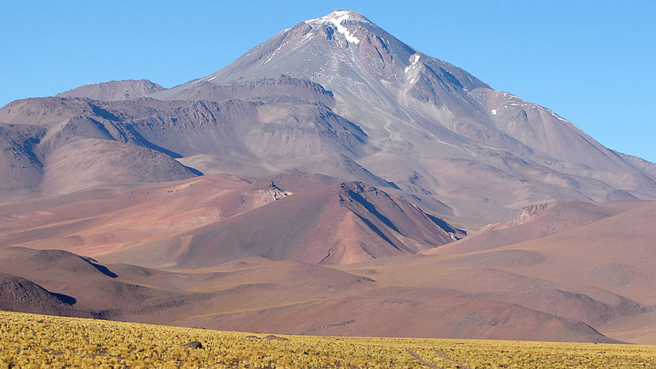 How a tiny Andean mouse survives 22,110-foot peaks, where oxygen is thin, temperatures plunge below freezing, and poisonous plants fill its diet