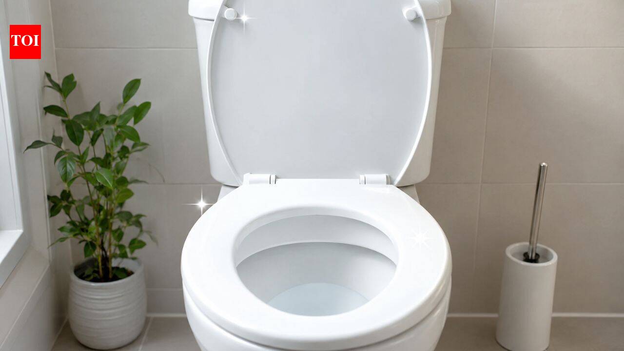 Want a fresh and odour-free toilet: These 6 ingredients can help
