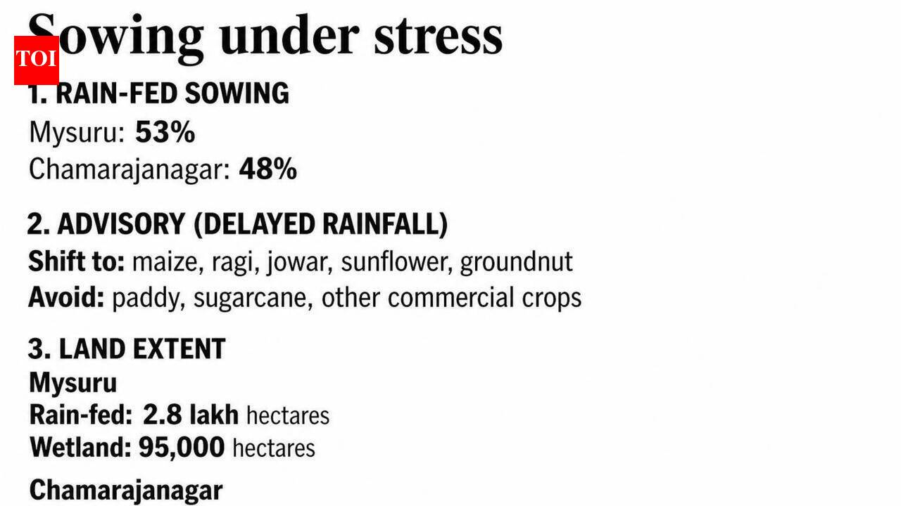 Weak monsoon: Mys, Ch’nagar farmers told to avoid water-intensive crops