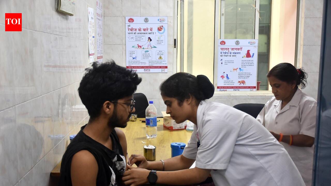 Sadar Hospital reports 52,669 dog bite cases in six months