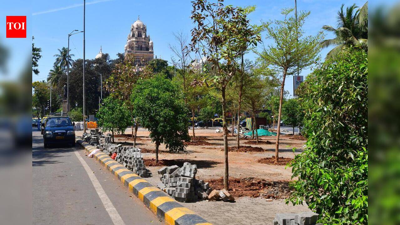 महाराष्ट्रातील प्रतिपूरक वनीकरणात मोठ्या त्रुटी: कॅगचा अहवाल