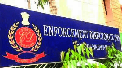 ED launches laundering probe into ₹1,500cr hydroponic ganja racket