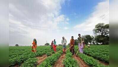 Gujarat receives agriculture leadership award