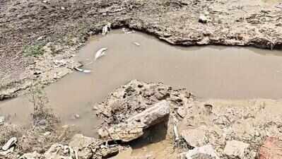 Two boys drown, labourer dies in wall collapse, takes Ghaziabad rain toll to 5