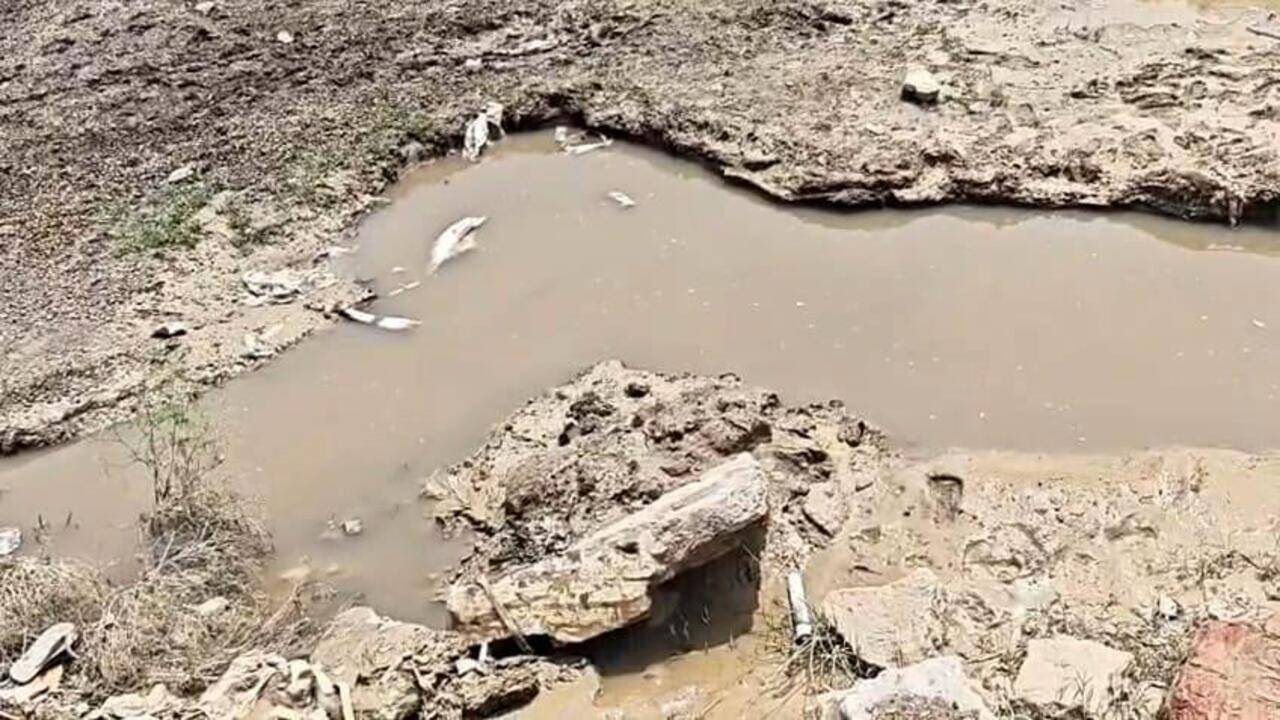 Two boys drown, labourer dies in wall collapse, takes Ghaziabad rain toll to 5