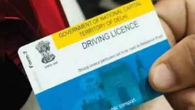 DL applications, RC updates among 100 transport services available online