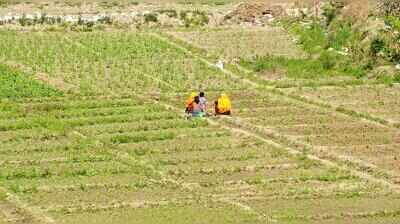 Raj signs 32 MoUs to boost natural farming, agri-tech innovation
