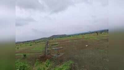 Raj govt to escalate Jhalawar forest land dispute with MP