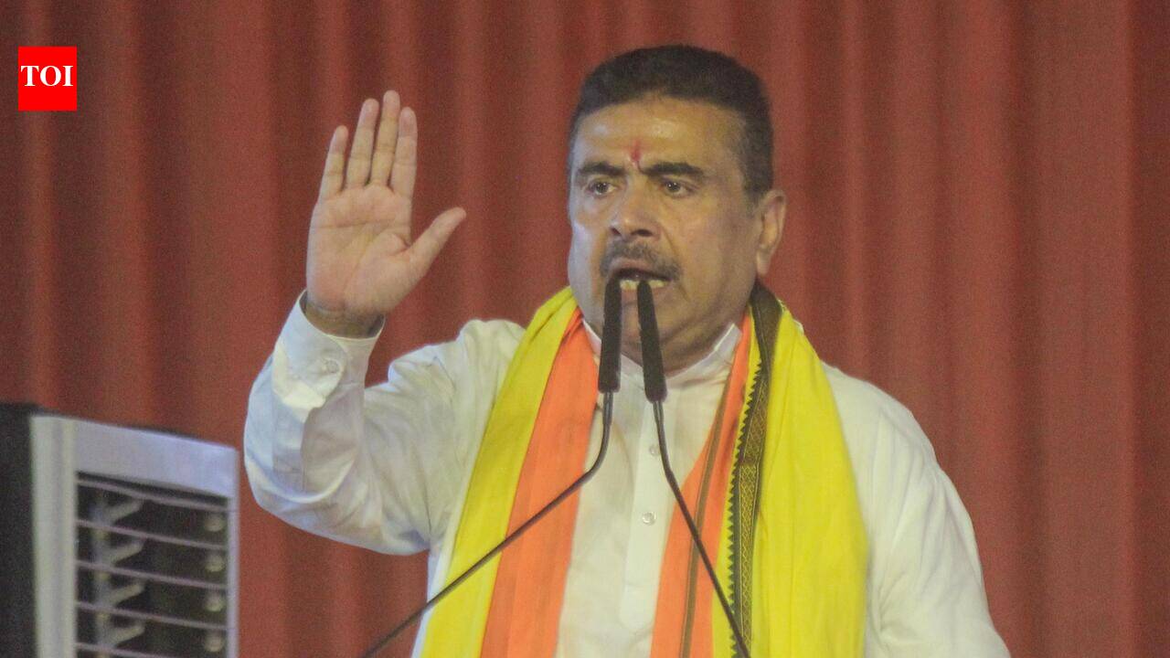 Bengal anti-gang and property auction laws to come into effect on July 13: CM