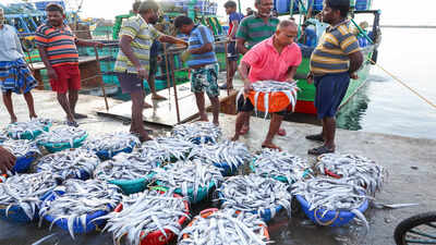 $1bn SEZs in the works to boost seafood exports
