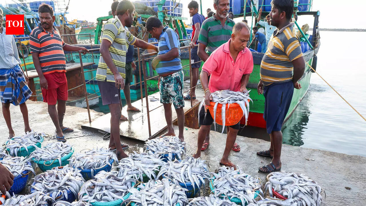 $1bn SEZs in the works to boost seafood exports