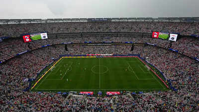  FIFA puts World Cup final pitch up for sale at a whopping ₹37,500 per piece