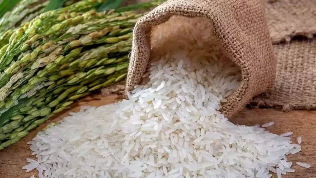 Ethanol scam: Subsidised rice being diverted to pvt mills in MP, probe ordered