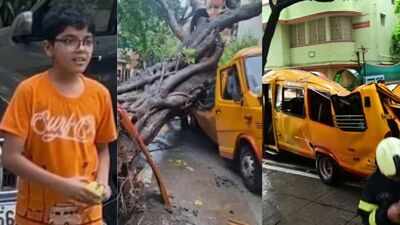 Chembur school bus tragedy: BMC says crash caused by decay and damaged roots of tree