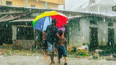 Delhi, Himachal, Bihar among states on IMD's heavy rain watch, what travellers need to know