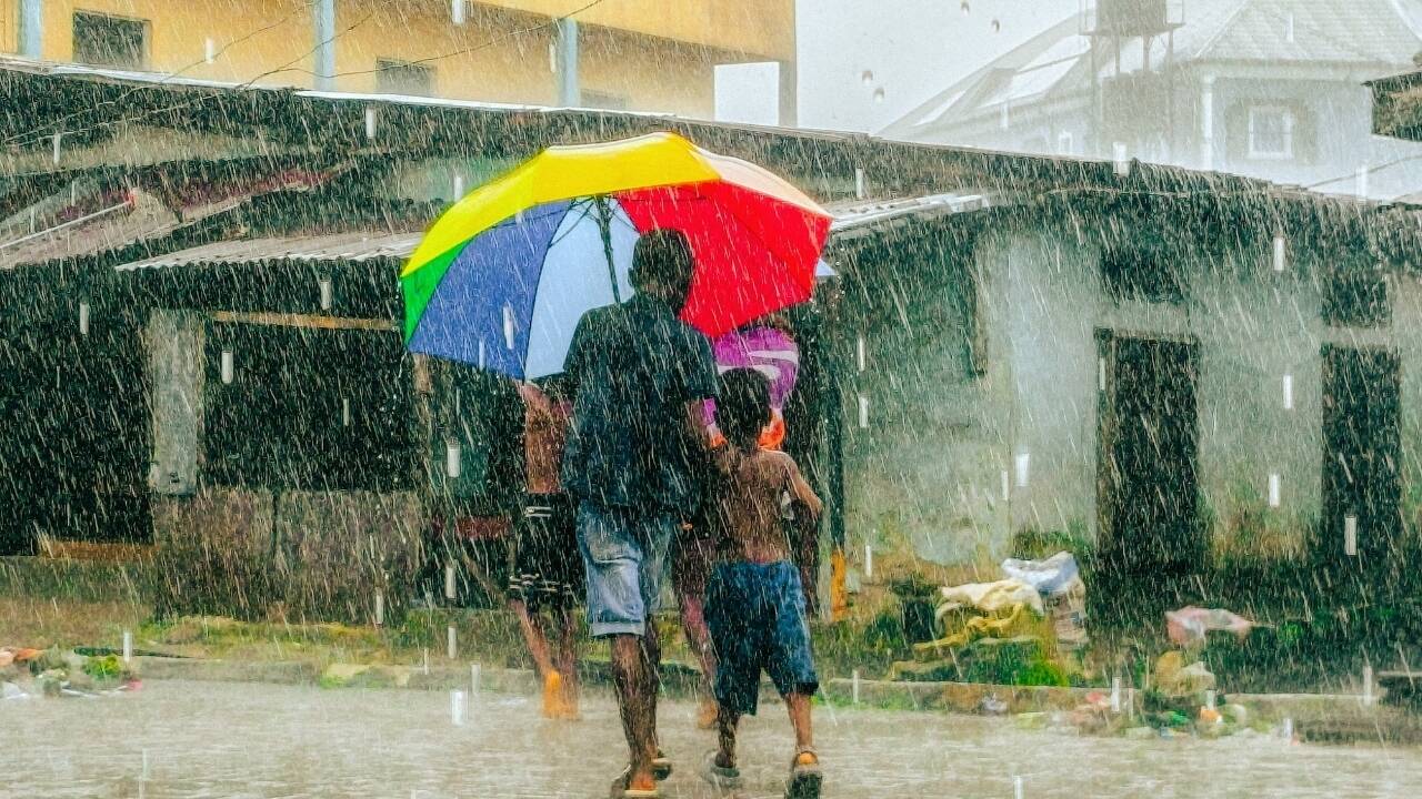 Delhi, Himachal, Bihar among states on IMD's heavy rain watch, what travellers need to know