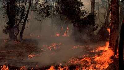 Western Australia burns 200,000 hectares a year for fire safety, but scientists say the policy may be eroding biodiversity in a global hotspot