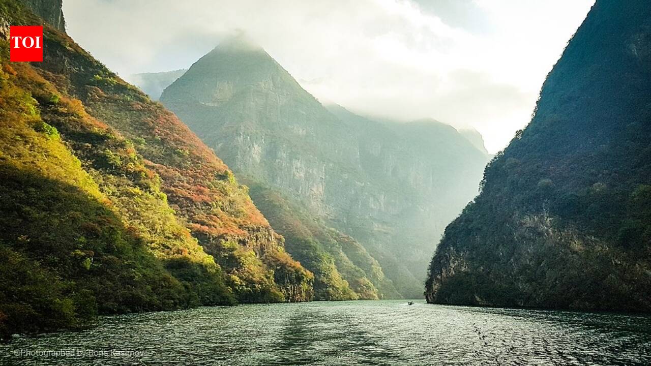 China's planted forests survived a 2022 heat wave worse at first, but then bounced back faster than natural forests in the Yangtze River Basin