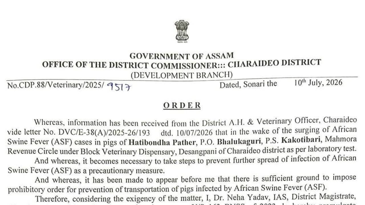 Fresh ASF cases in Charaideo, ban on pig transport, pork sale