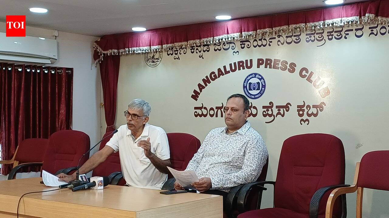 Stop extraction of bauxite under guise of laterite: Forum