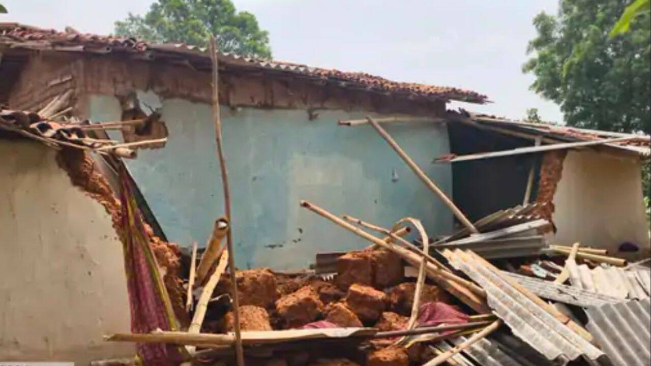 Toddler found beside dying mother as elephant kills 2 in Chhattisgarh