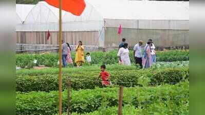 Seed to plate: Crop Museum in Bengaluru to educate city kids about agriculture