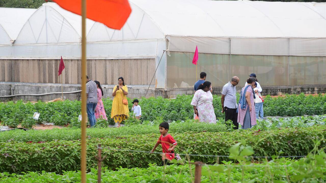 Seed to plate: Crop Museum in Bengaluru to educate city kids about agriculture