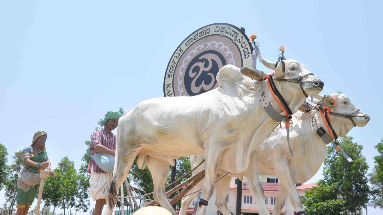 Karnataka Folklore University halts PhD entrance test amid govt probe