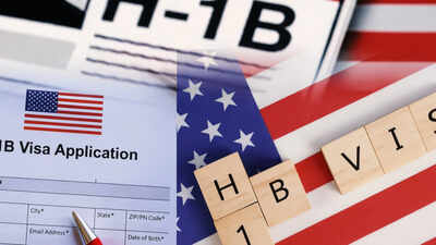 'I bought a one-way ticket and moved back to India': Former H-1B visa holder says 'first time in my adult life I felt completely in control of my own career'