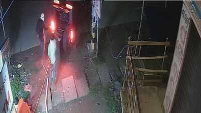 Watch: Gang uses Thar to uproot ATM, escapes with cash in Odisha