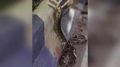 GT Road’s slithering commuter brings traffic to a halt