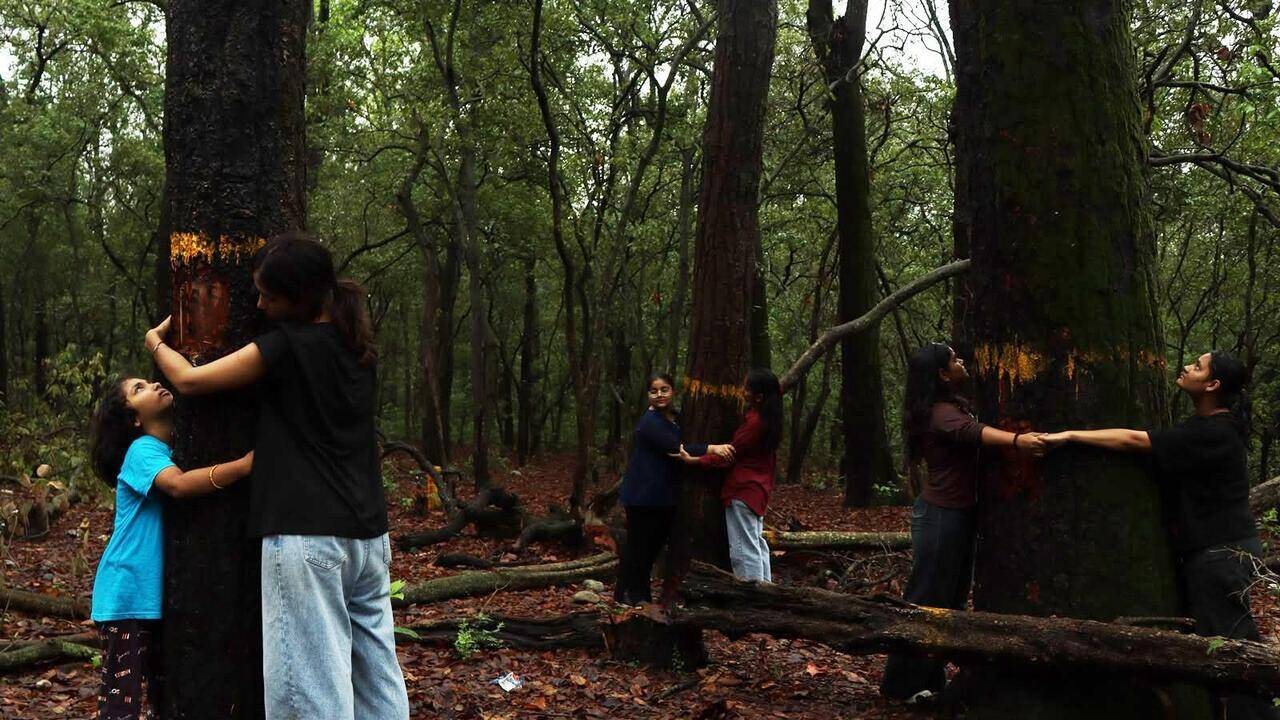 Residents hug trees to stop felling along Bhaniyawala-R'kesh stretch
