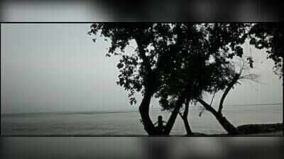 Sundarbans climate docu wins big at short film fest