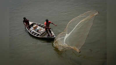 Illegal fishing: 220 cases registered, over Rs 2.2L recovered in fines