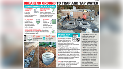 Harvest rainwater to mitigate floods: Greens want Mumbaikars to soak in idea