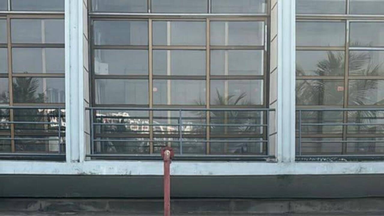 Caged dog at IIM-Calcutta dies without proper treatment, sparks outrage