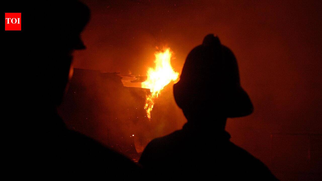 Man sets shanty on fire after row over affair; 3 pet cats burned to death