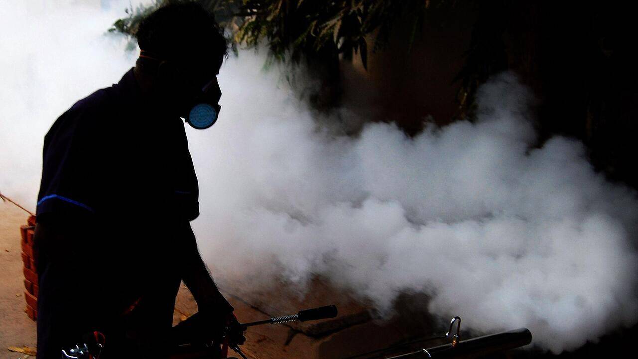 Erratic rains, changing mosquito breeding patterns put Hyderabad on dengue alert