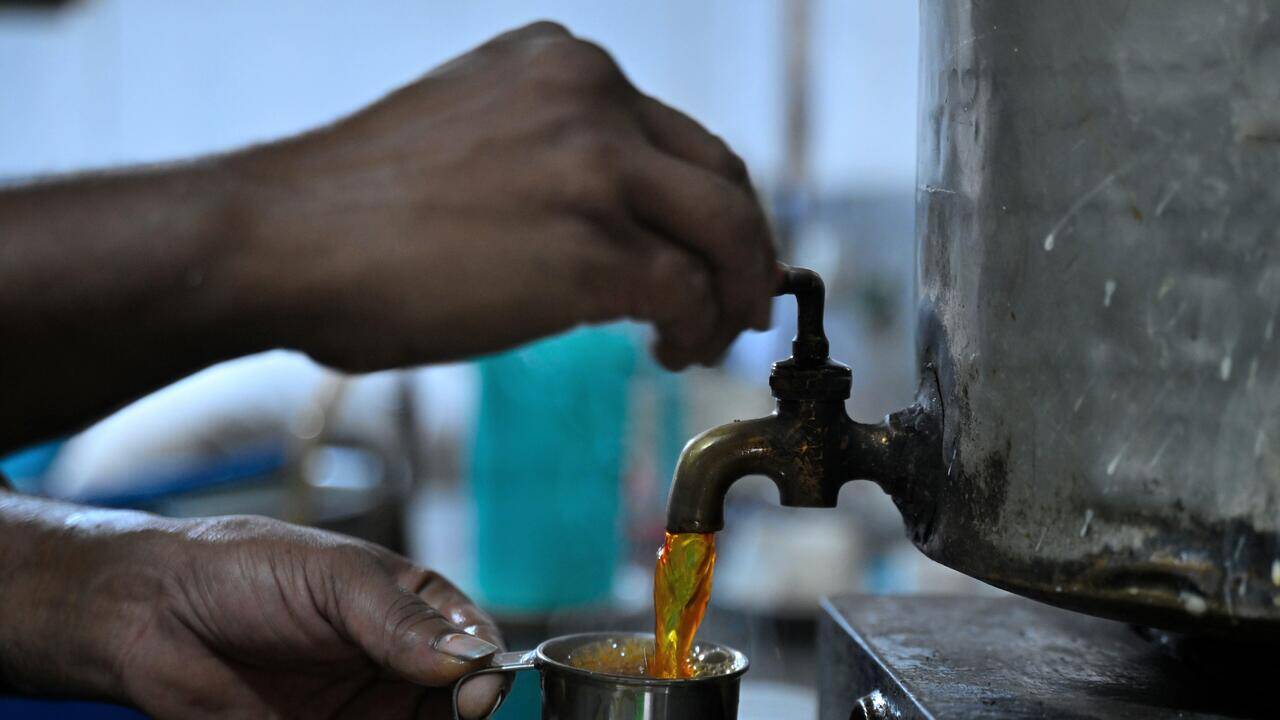 FDA suspends licence of Salunkhe Vihar Road cafe over hygiene lapses