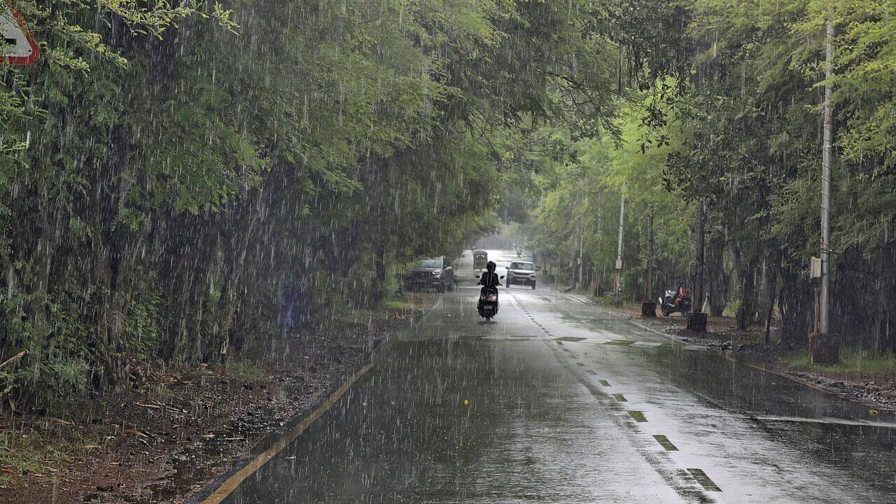 Monsoon revival unlikely over most of India for a week: IMD