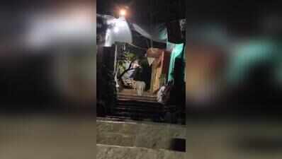 Lion kills 11-year-old boy climbing Mount Girnar