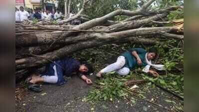 Two women injured in Janata Vasahat after banyan tree falls on them