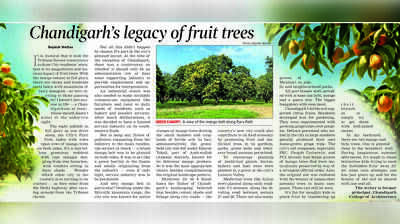 CHANDIGARH’S LEGACY OF FRUIT TREES