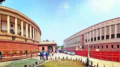 Stakeholders: PM, CMs removal clause 'unconstitutional'