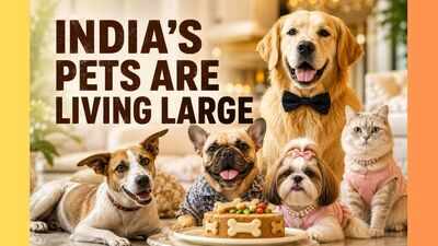  Inside India's ₹2.1 Lakh Crore Pet Economy