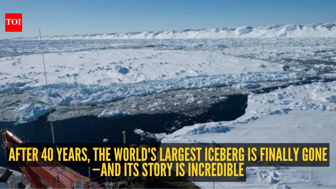 Bigger than London, larger than Goa: After 40 years, the world's largest iceberg 'A23a' has vanished