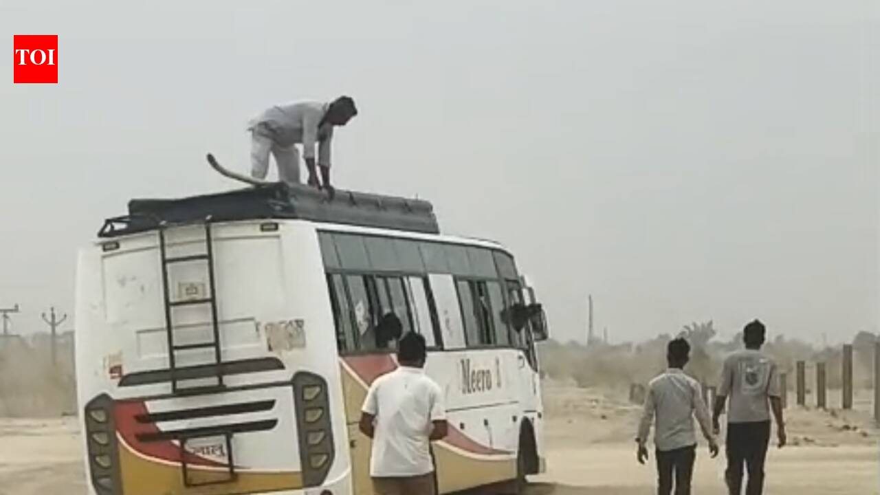 Jaisalmer sandstorms bury highway, disrupt BSF border routes